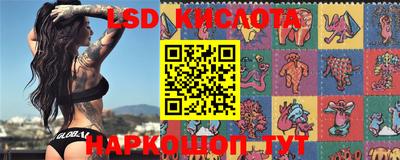 крисы Бузулук