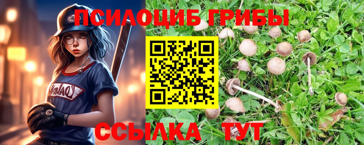 Галлюциногенные грибы Cubensis Бор